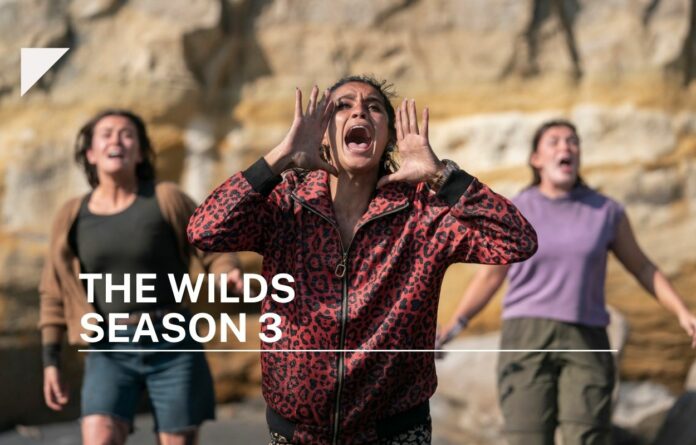 the wilds season 3