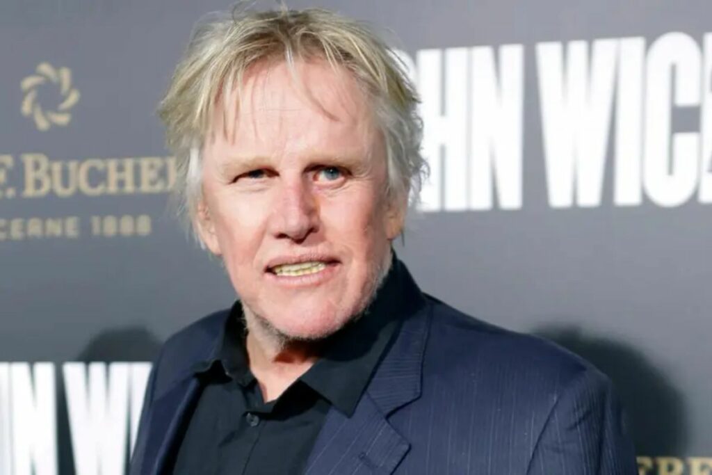 _In New Jersey, Actor Gary Busey Is Accused