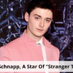 Noah Schnapp, A Star Of Stranger Things