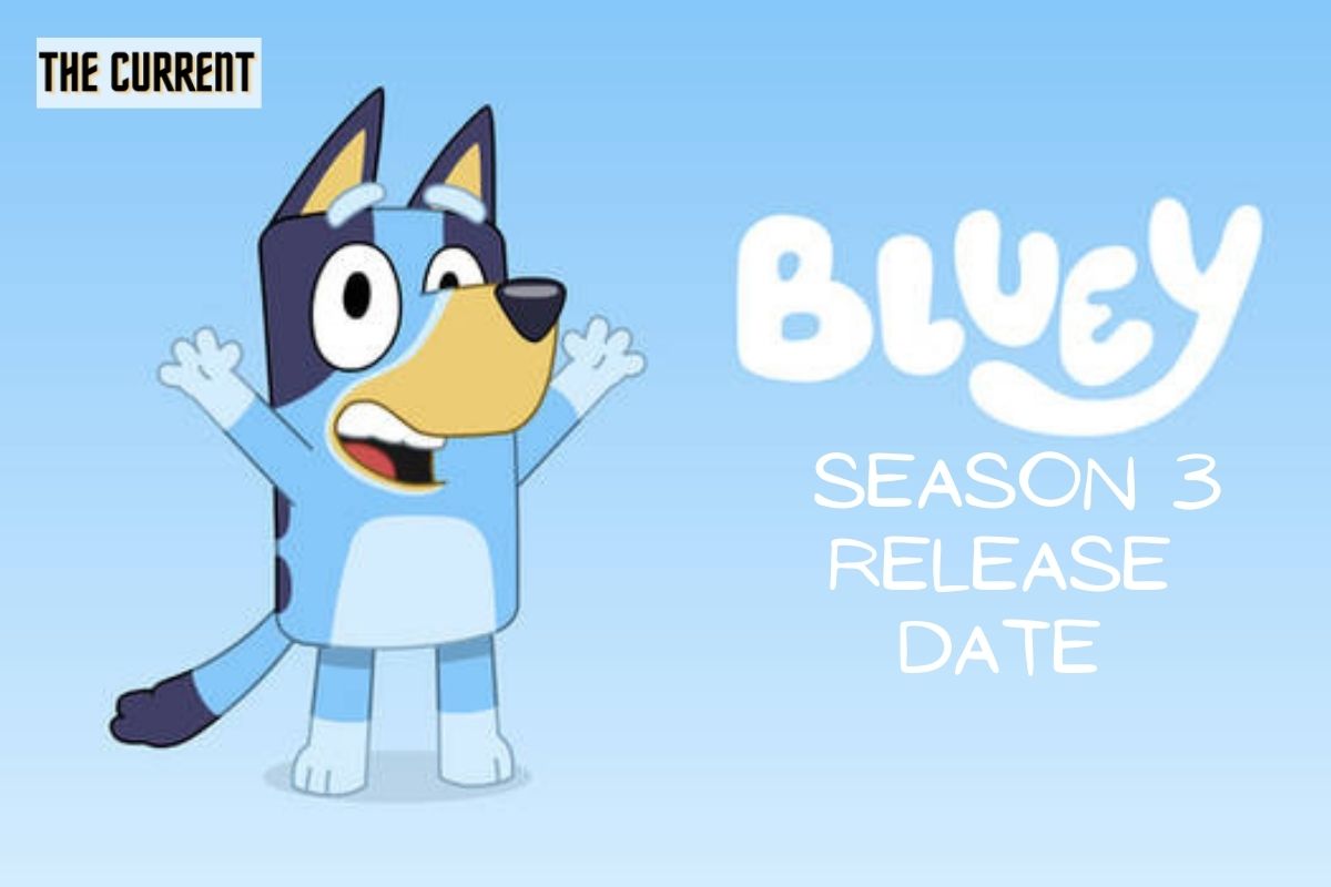 bluey season 3 release date