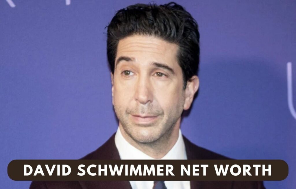 David Schwimmer Net Worth 2022 American Actor, Director, And Producer