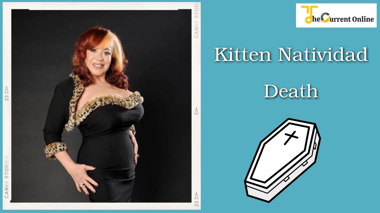 Adult Film Actress Kitten Natividad Died