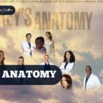 Grey’s Anatomy Season 19