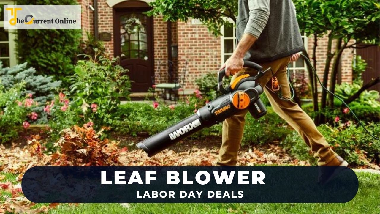 Leaf Blower labour day