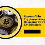 Reasons Why Cryptocurrency Is Highly Damaging To The Environment 