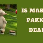 how did makka pakka die in the night garden