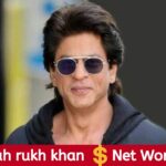 shah rukh khan net worth