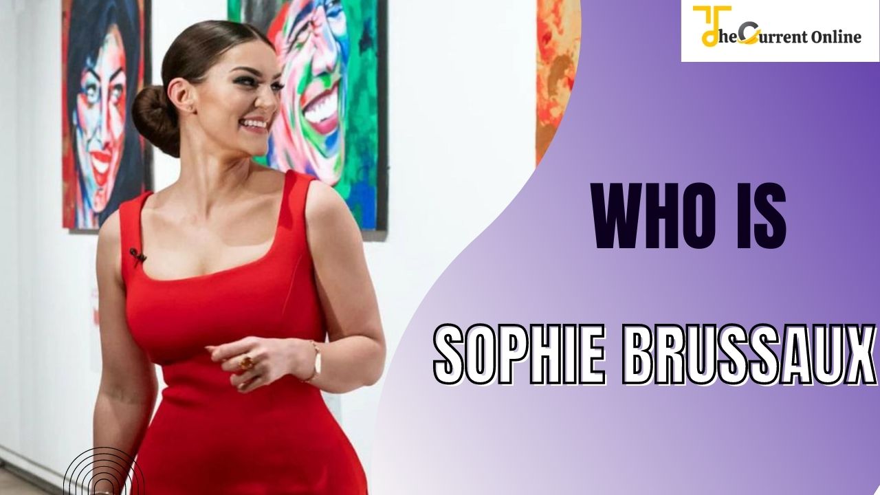 who is Sophie brussaux