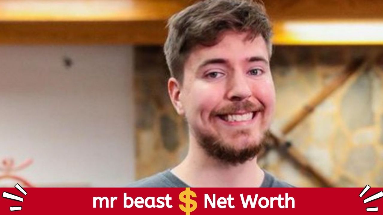 mr beast net worth