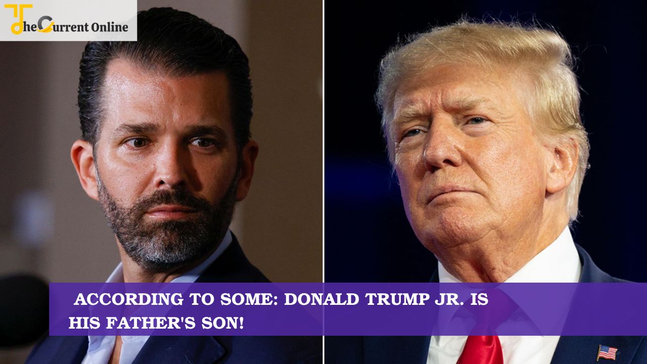 According To Some: Donald Trump Jr. Is His Father's Son!