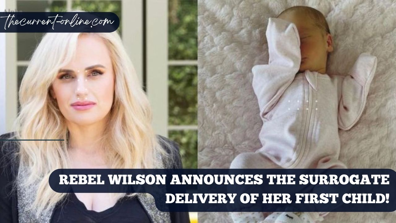 Rebel Wilson Announces The Surrogate Delivery Of Her First Child!