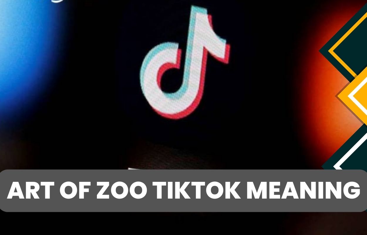 art of zoo tiktok meaning