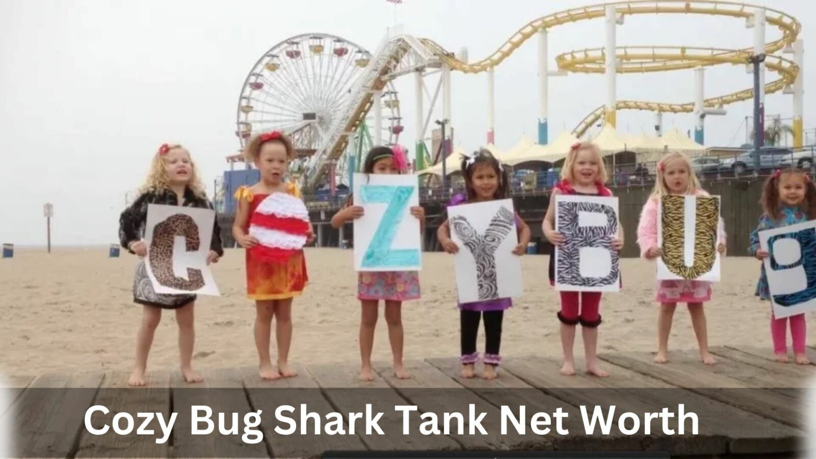 Cozy Bug Shark Tank Net Worth