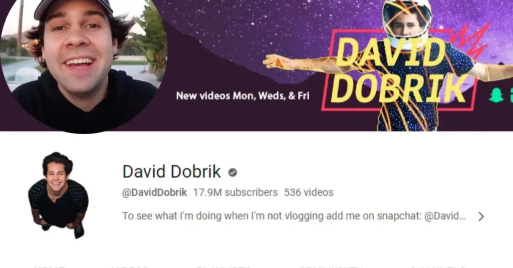 Is David Dobrik Gay?