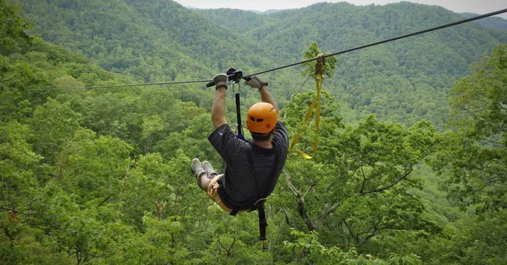 Ziplining: Soar Through The Canopy