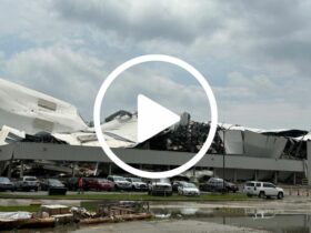 Pfizer Rocky Mount NC Tornado Damage