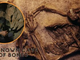 Unknown Cave Of Bones