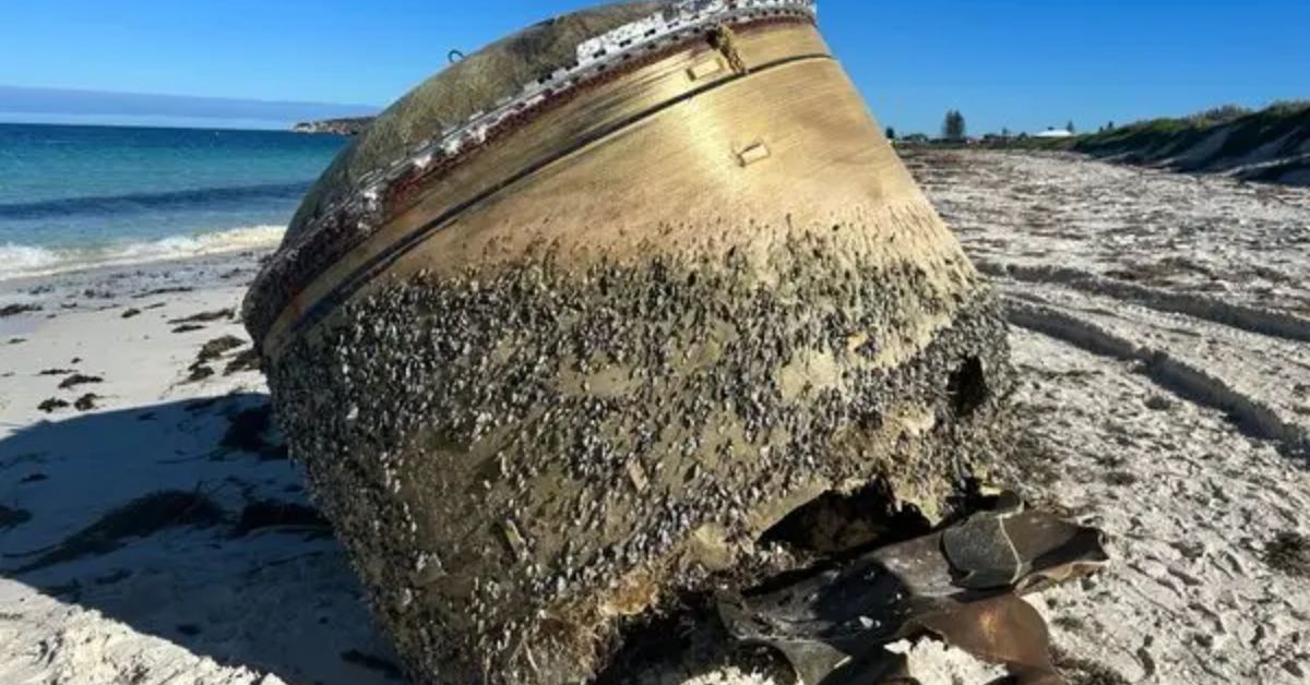 Australian Beach Mystery Object