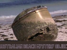 Australian Beach Mystery Object