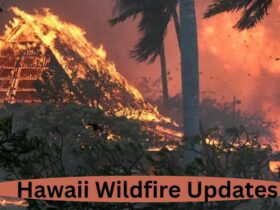 Hawaii Wildfire Updates