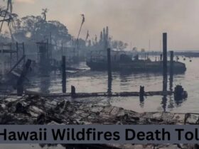 Hawaii Wildfires Death Toll