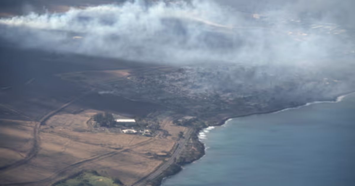 How Did The Maui Fire Start