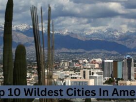 Top 10 Wildest Cities In America