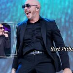 Best Pitbull Songs of All Time