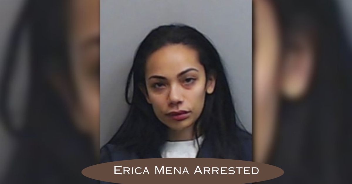 Erica Mena Arrested