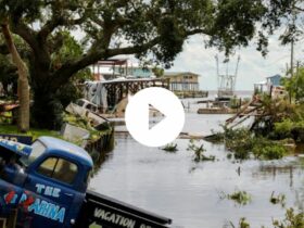 Hurricane Idalia lashes Florida