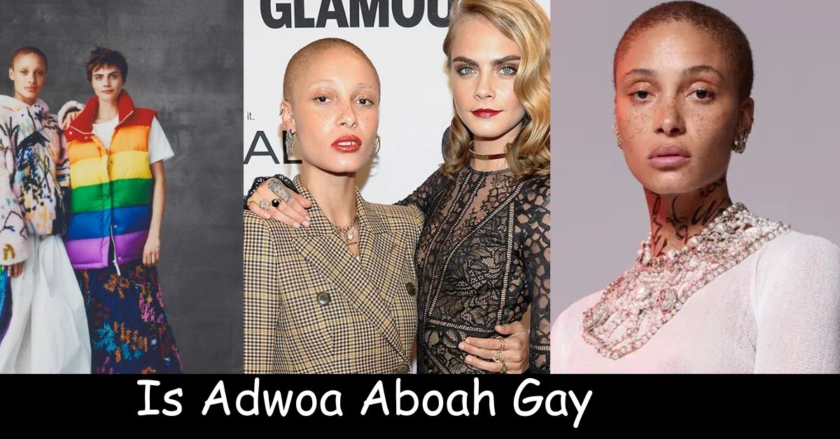 Is Adwoa Aboah Gay