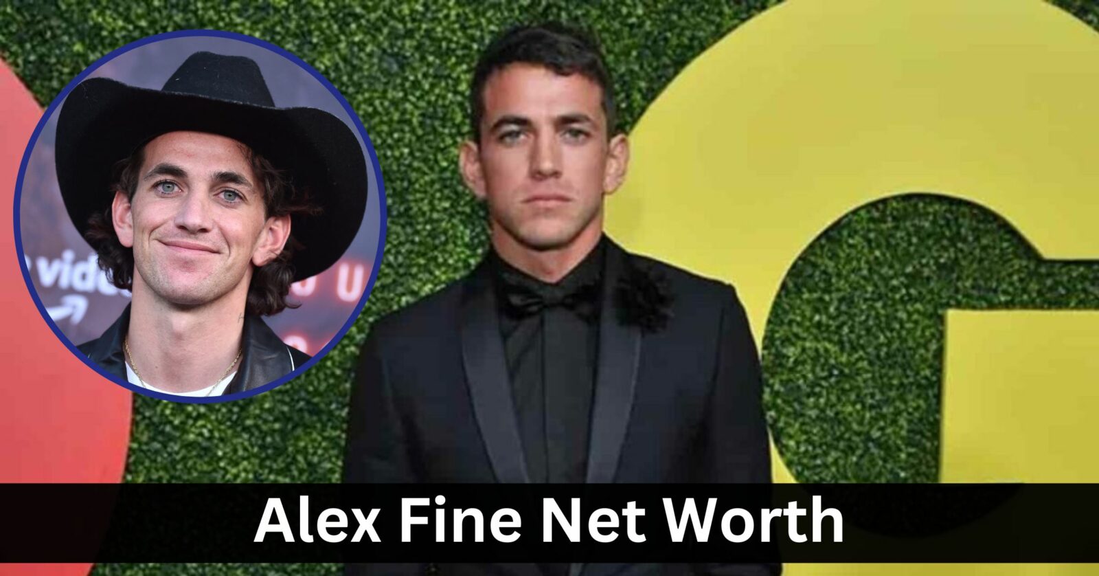 Alex Fine Net Worth