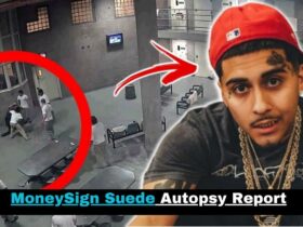MoneySign Suede Autopsy Report