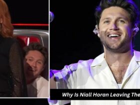 Why Is Niall Horan Leaving The Voice