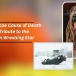 Jay Briscoe Cause of Death