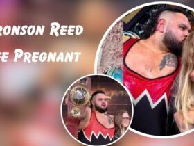 Is Bronson Reed Wife Pregnant