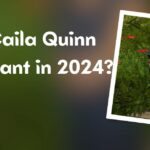 Is Caila Quinn Pregnant in 2024?