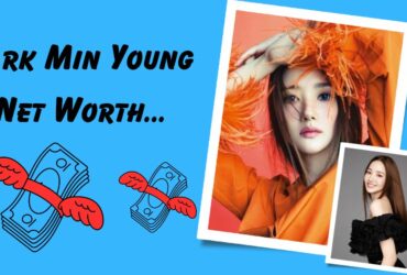 Park Min Young Net Worth