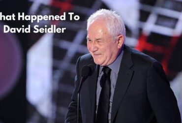 What Happened To David Seidler