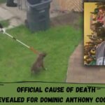 Official Cause Of Death Revealed For Dominic Anthony Cooper